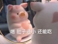 豫园文案沙雕，豫园文案怎么写