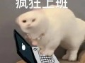 工作结束的沙雕文案短句，工作结束的沙雕文案短句图片