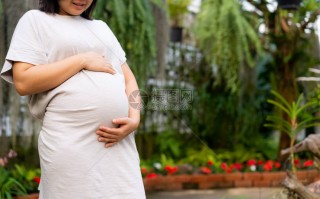 孕妇旗袍汉服穿搭，孕妇旗袍汉服穿搭图片