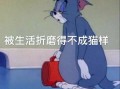 金钱的文案沙雕，金钱的文案沙雕句子