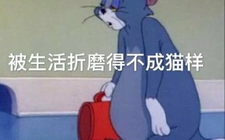 金钱的文案沙雕，金钱的文案沙雕句子
