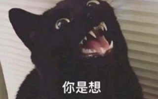 沙雕搞笑打游戏文案，沙雕搞笑打游戏文案短句