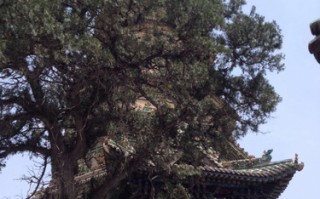 山西临汾自行游玩攻略，山西临汾旅游景点一日游