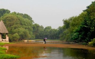 扬州春景游玩攻略，扬州春景游玩攻略一日游
